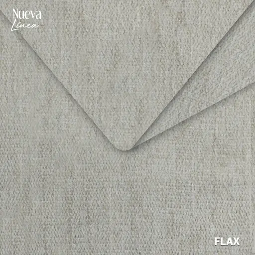 Fly